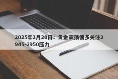 2025年2月20日：黄金震荡偏多关注2945-2950压力