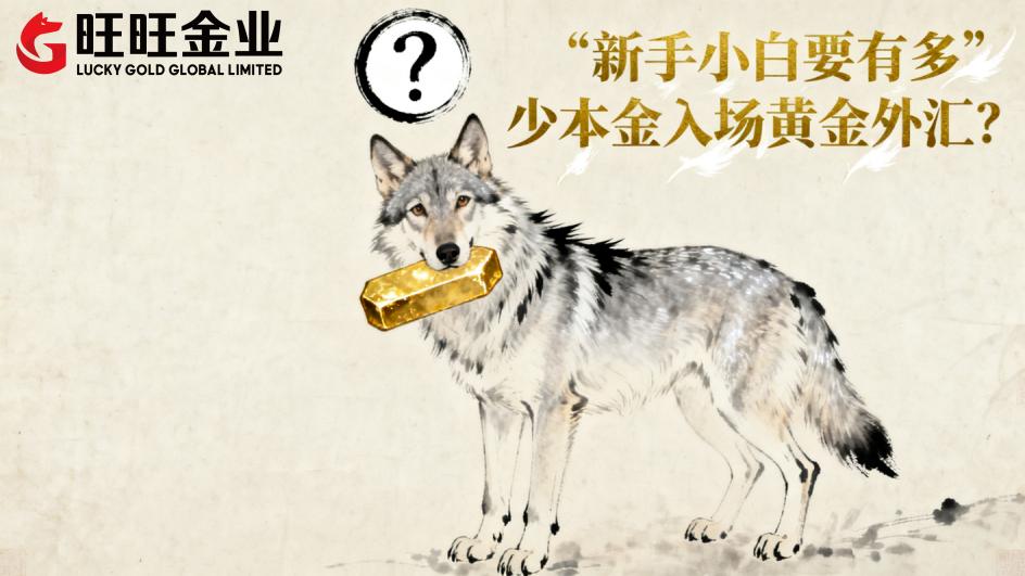 <strong>新手小白要有多少本金入场黄金外汇？</strong>