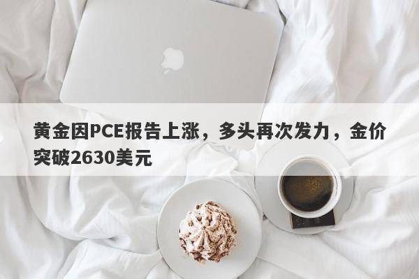 黄金因PCE报告上涨，多头再次发力，金价突破2630美元