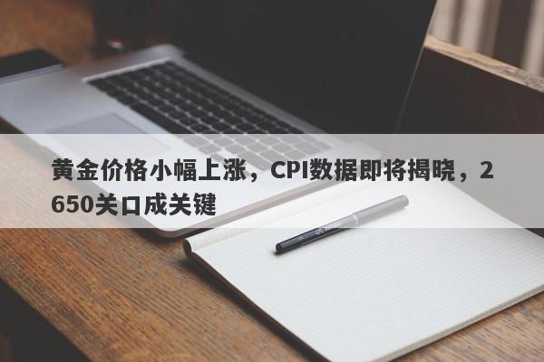 黄金价格小幅上涨，CPI数据即将揭晓，2650关口成关键