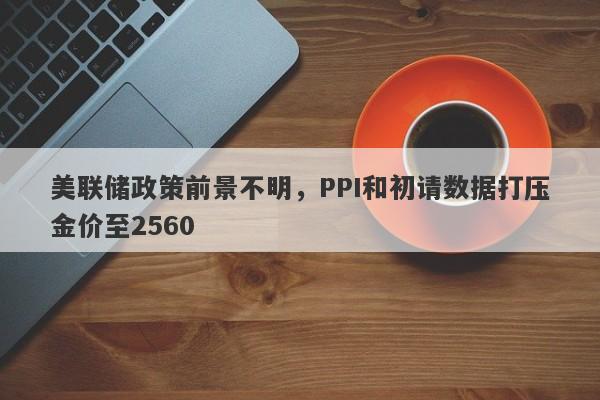 美联储政策前景不明，PPI和初请数据打压金价至2560