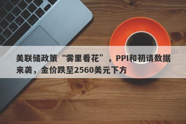 美联储政策“雾里看花”，PPI和初请数据来袭，金价跌至2560美元下方