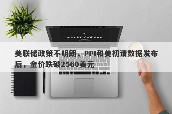 美联储政策不明朗，PPI和美初请数据发布后，金价跌破2560美元