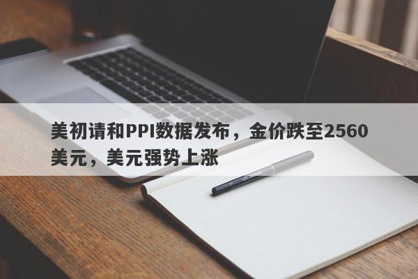 美初请和PPI数据发布，金价跌至2560美元，美元强势上涨