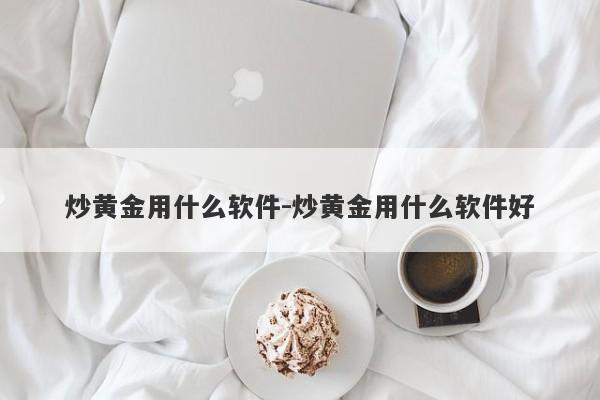 炒黄金用什么软件-炒黄金用什么软件好