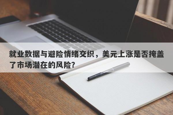 就业数据与避险情绪交织，美元上涨是否掩盖了市场潜在的风险？