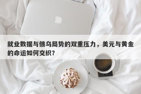 就业数据与俄乌局势的双重压力，美元与黄金的命运如何交织？