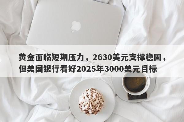 黄金面临短期压力，2630美元支撑稳固，但美国银行看好2025年3000美元目标