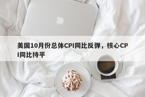 美国10月份总体CPI同比反弹，核心CPI同比持平