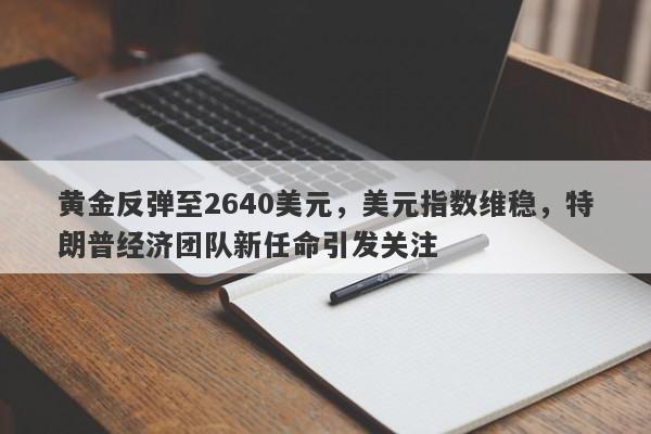 黄金反弹至2640美元，美元指数维稳，特朗普经济团队新任命引发关注