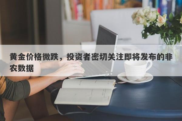 黄金价格微跌，投资者密切关注即将发布的非农数据