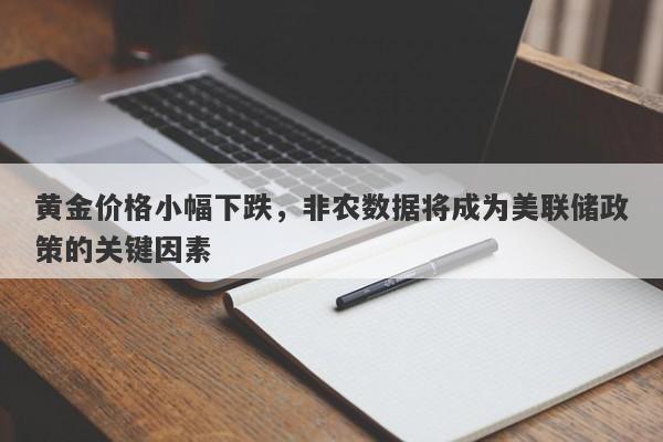 黄金价格小幅下跌，非农数据将成为美联储政策的关键因素