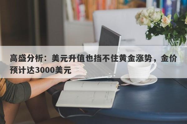 高盛分析：美元升值也挡不住黄金涨势，金价预计达3000美元