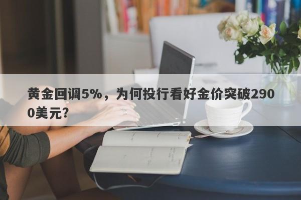 黄金回调5%，为何投行看好金价突破2900美元？