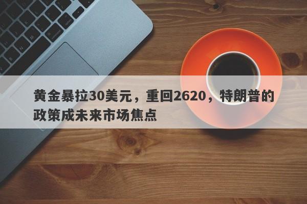 黄金暴拉30美元，重回2620，特朗普的政策成未来市场焦点