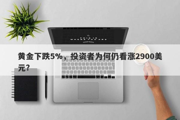 黄金下跌5%，投资者为何仍看涨2900美元？