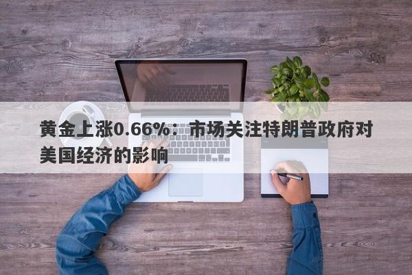 黄金上涨0.66%：市场关注特朗普政府对美国经济的影响