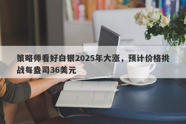 策略师看好白银2025年大涨，预计价格挑战每盎司36美元