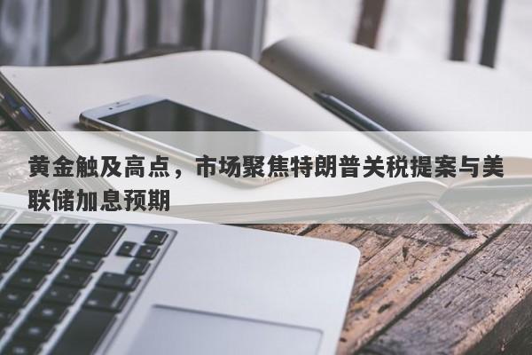 黄金触及高点，市场聚焦特朗普关税提案与美联储加息预期