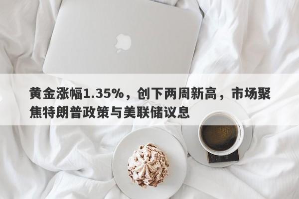 黄金涨幅1.35%，创下两周新高，市场聚焦特朗普政策与美联储议息