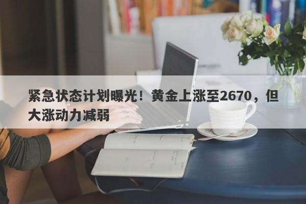 紧急状态计划曝光！黄金上涨至2670，但大涨动力减弱