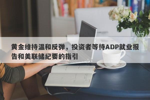 黄金维持温和反弹，投资者等待ADP就业报告和美联储纪要的指引